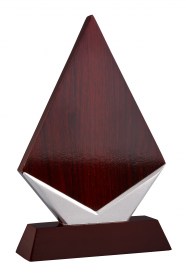 Trofee din Lemn WT 113